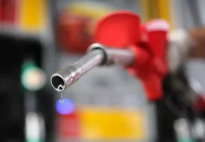 gasolina-bloomberg
