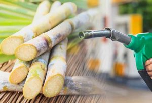 f3e1a0b2659967eaa0e91000017fc133